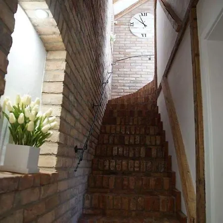 Vinny Tunel -konsky Gæstehus