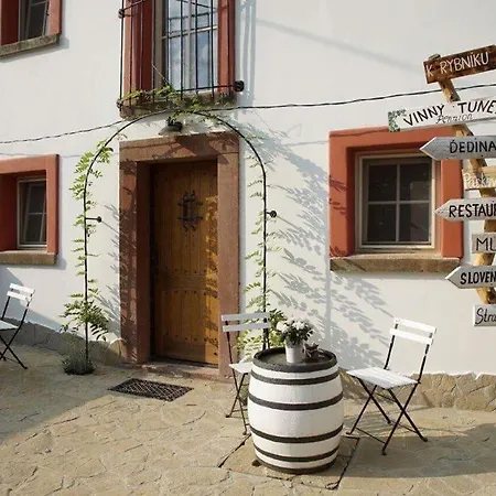 Vinny Tunel -konsky Gæstehus Pouzdrany