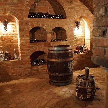 Vinny Tunel -konsky Gæstehus Pouzdrany