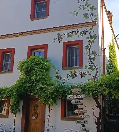 Vinny Tunel -konsky Pouzdrany