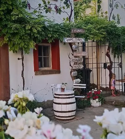 Gæstehus Vinny Tunel -konsky Pouzdrany